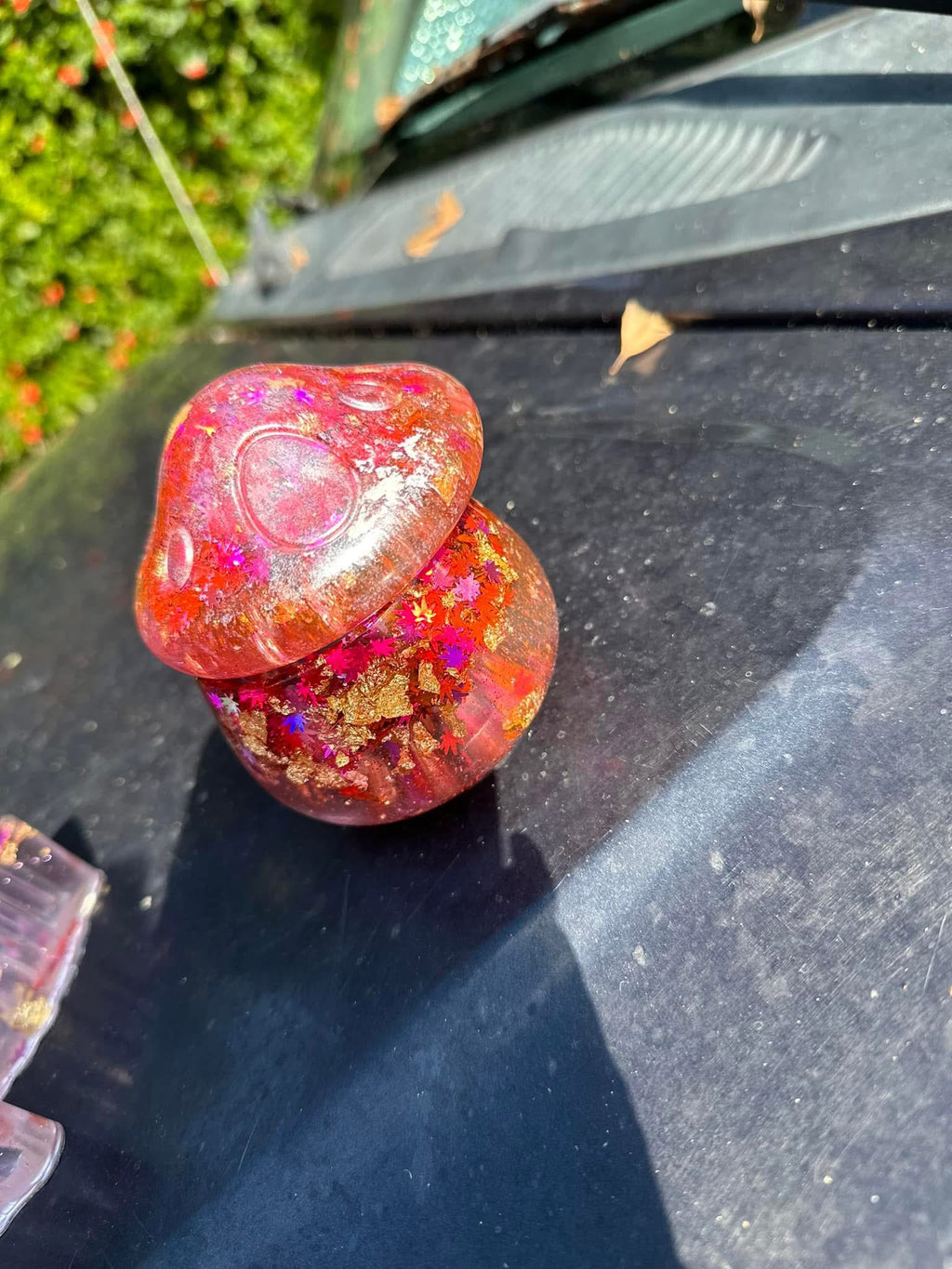Custom-Made  mushroom jar